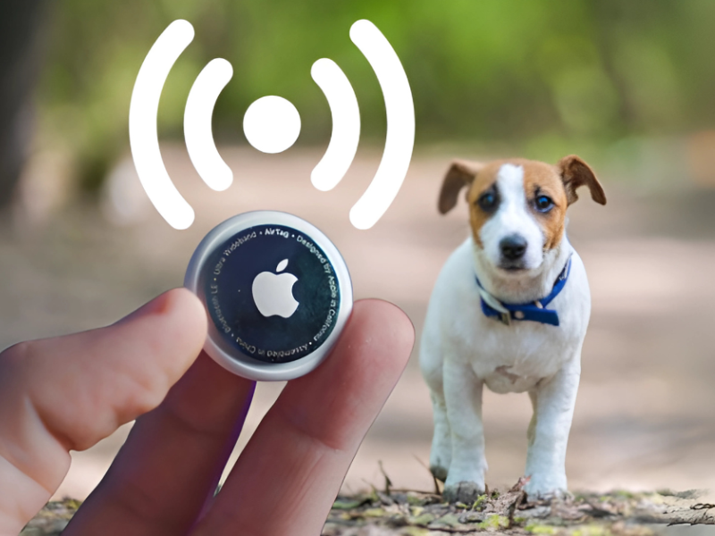 Wireless GPS tracker for dogs shown with small brown and white puppy wearing a collar in outdoor setting